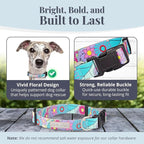 Lucky Love Dog Collars, Cute Small Dog Collars for Female Dogs, Part of Purchase Donated to Rescue, Caroline, Small