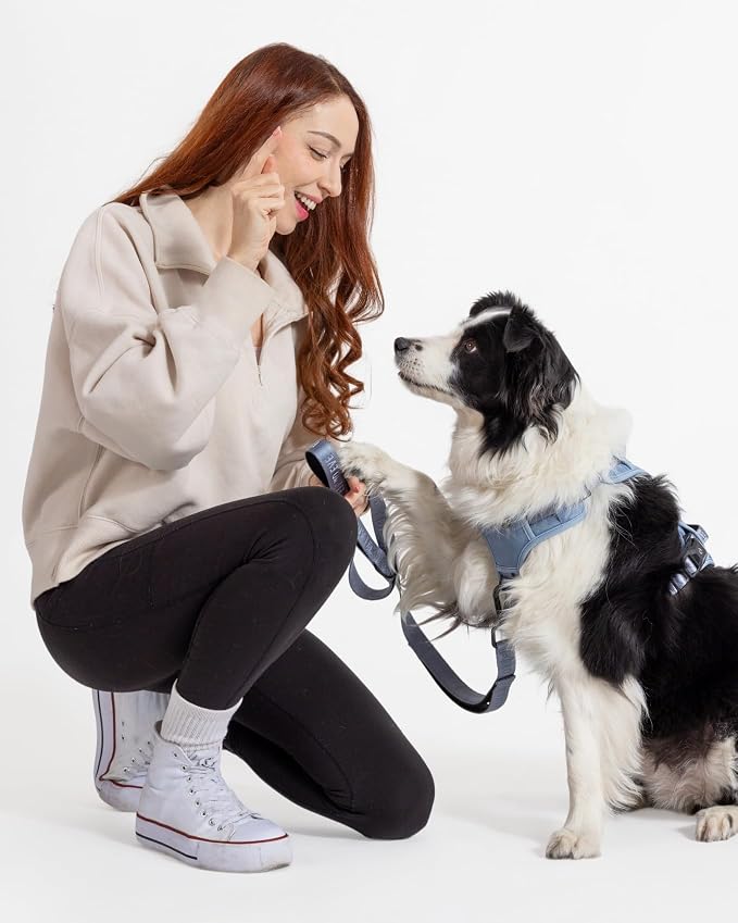 Fei & Eve Classic Dog Leash | Soft-Touch 210D Nylon, Dual Padded Handles, Traffic Handle, Tangle-Free, Heavy Duty, Dusk Blue, 6FT