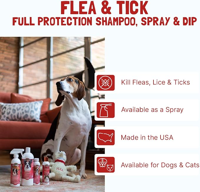 Bio-Groom Flea & Tick Dog Shampoo - Flea and Tick Prevention for Dogs, Cat Flea Treatment, Cruelty-Free, Made in USA, Natural Tick Repellent, Protein-Lanolin Shampoo - 2.5 Gallons | Flea and Tick Prevention for Dogs, Cat Treatment, Cruelty-Free, Made i...