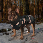 IECOii Extra Warm Dog Coat - Reflective Adjustable Jacket for Small to Extra Large Dogs - Buckle Fleece Turtleneck for Cold Weather