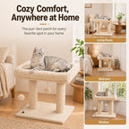 Small Cat Tree with Large Top Perch for Indoor Cats, Beige | Carpeted Scratching Post | Soft Plush Bed | Furniture Protecter | Small Cat Tower | Replacement Toy Balls | Space-Saving