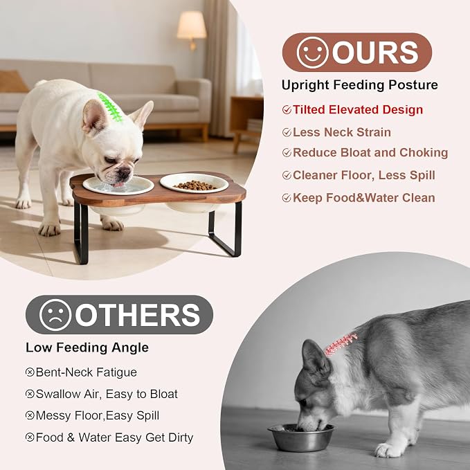 SPUNKYJUNKY Ceramic Elevated Tilted Dog Bowls Bone-Shaped Raised with 2 Height Iron Stand, 6.9'' Dog and Cat Food Water Bowls Set Non-Slip for Small Medium Sized Breed - 20 OZ,Beige