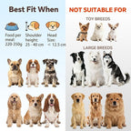 Elevated Dog Bowl Set of 2 - Double Glass Bowls with Gold Iron Stand - Raised Dishes Comfortable Feeding - Ideal for Small to Medium Sized Dogs