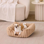 ZOMISIA Small Dog Bed, Cat Bed for Indoor Cats with Washable Cover, 20x19'' | Orthopedic Dog Beds for Small Dogs, Neck-Friendly Bolster, Low-Front Edge, Puppy Bed with Waterproof Removable Cover , Grey