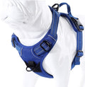 JUXZH Truelove No Pull Dog Harness with Easy Control Handle and 2 Leash Attachments,Reflective Adjustable Pet Vest