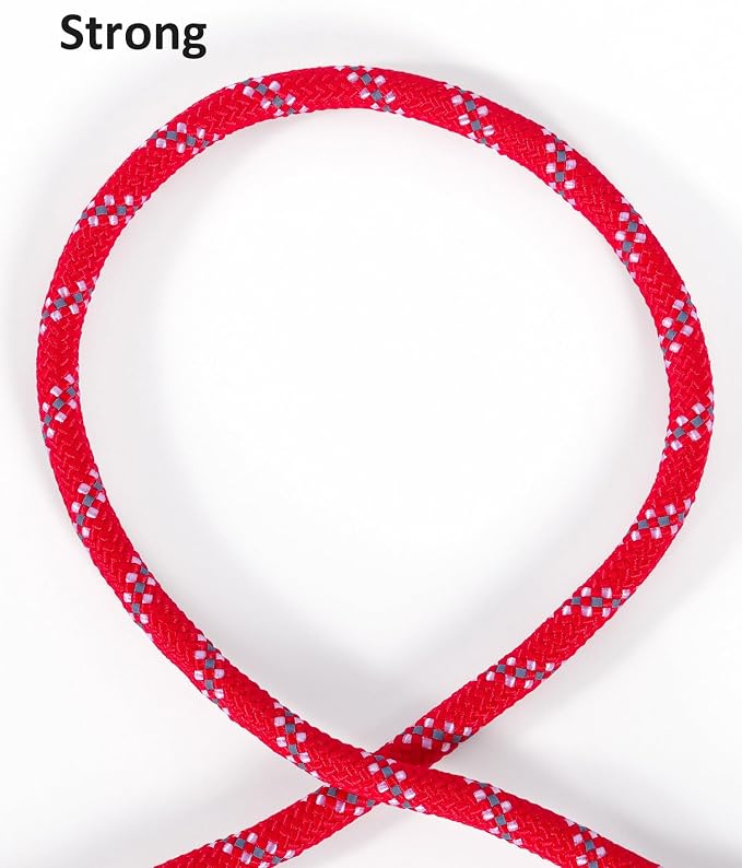Long Dog Leash for Dog Training 20FT, Heavy Duty Dog Lead for Large Medium Small Dogs Outside Walking, Playing, Camping, or Yard,Red