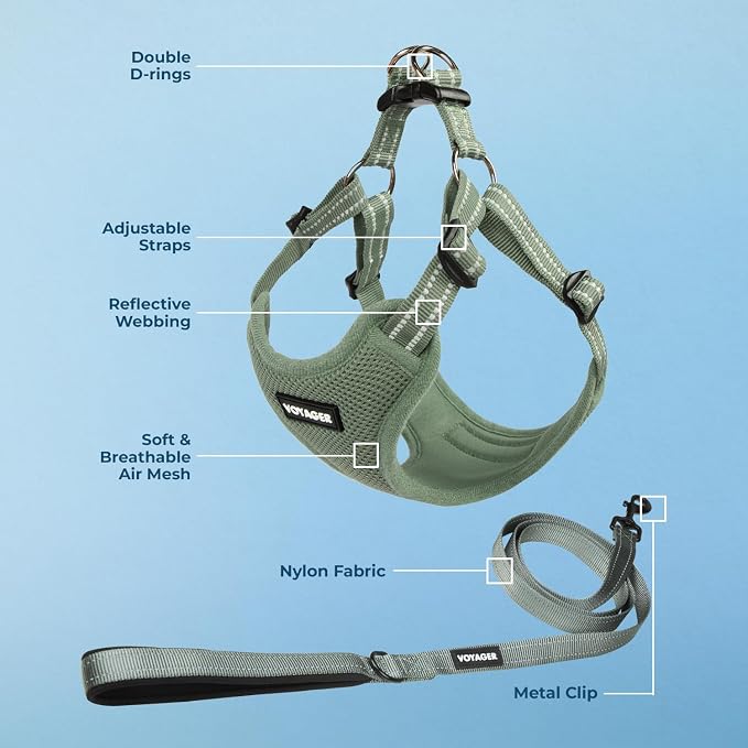 Best Pet Supplies Voyager Adjustable Step-in Flex Breathable Mesh Dog Harness for Small Medium Large Dogs Leash Set (Moss Green), M