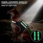 Service Dog Vest Harness and Leash Set+10 Patches,No Pull&Easy Walk Reflective Dog Harness with Soft Padded Handle for Training/Everyday,Fit Small/Medium/Large/Extra-Large Dogs (Black S) | No Pull&Adjustable Reflective Dog Harness Small Sized,Dog Leash...