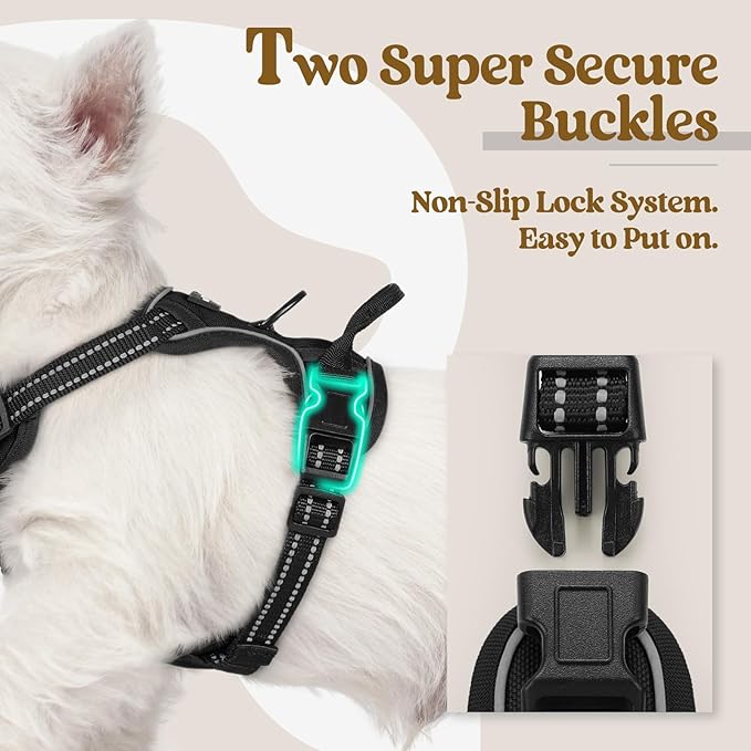 rabbitgoo Dog Harness No Pull with 2 Leash Clips, Adjustable Soft Padded, Reflective Oxford No Choke Pet Vest with Easy Control Handle for Puppy, Black, XS | No Choke with Handle, Adjustable Soft Padded, Reflective, Easy Control for Walking, Black, X-S...