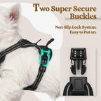 rabbitgoo Dog Harness No Pull with 2 Leash Clips, Adjustable Soft Padded, Reflective Oxford No Choke Pet Vest with Easy Control Handle for Puppy, Black, XS | No Choke with Handle, Adjustable Soft Padded, Reflective, Easy Control for Walking, Black, X-S...