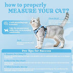 rabbitgoo Cat Harness and Leash Set, Escape Proof Vest, Light Blue | Soft Breathable Mesh, Easy Adjustable Fit, Snap Buckles, Sturdy Clip, Reflective Strips, for Medium to Large Cats Walks, M