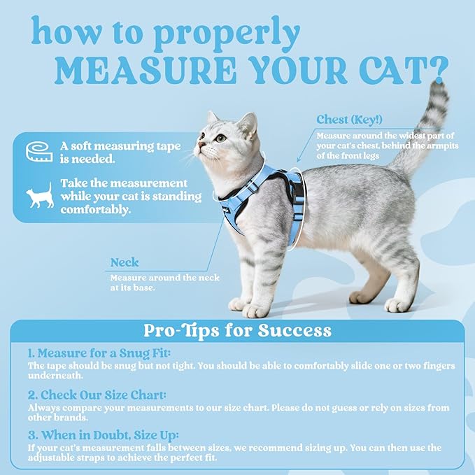 rabbitgoo Cat Harness and Leash Set, Escape Proof Vest, Light Blue | Soft Breathable Mesh, Easy Adjustable Fit, Snap Buckles, Sturdy Clip, Reflective Strips, for Average Cats Walks, S