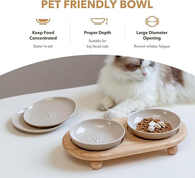 Havniva Elevated Cat Bowls, Cat Food and Water Bowl Set, Ceramic Cat Bowl | Raised Cat Food Bowls, Whisker Friendly, 5.6” Shallow Cat Dishes + 6” Wide Cat Plates, Non-Slip Wood Stand, Two Heights