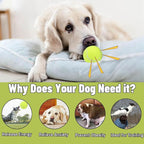 Magicorange Dog Tennis Balls, 20 Pack 2.5 inch Floatable Squeaky Tennis Balls for Fetch Exercise, Natural Rubber Squeaky Dog Balls Training Safe (Yellow)
