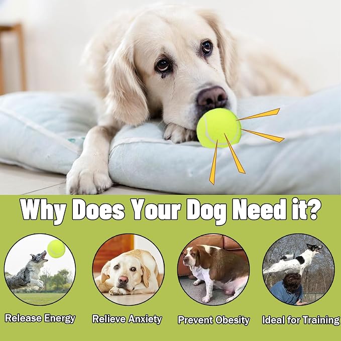 Magicorange Dog Tennis Balls, 20 Pack 2.5 inch Floatable Squeaky Tennis Balls for Fetch Exercise, Natural Rubber Squeaky Dog Balls Training Safe (Multicolor)