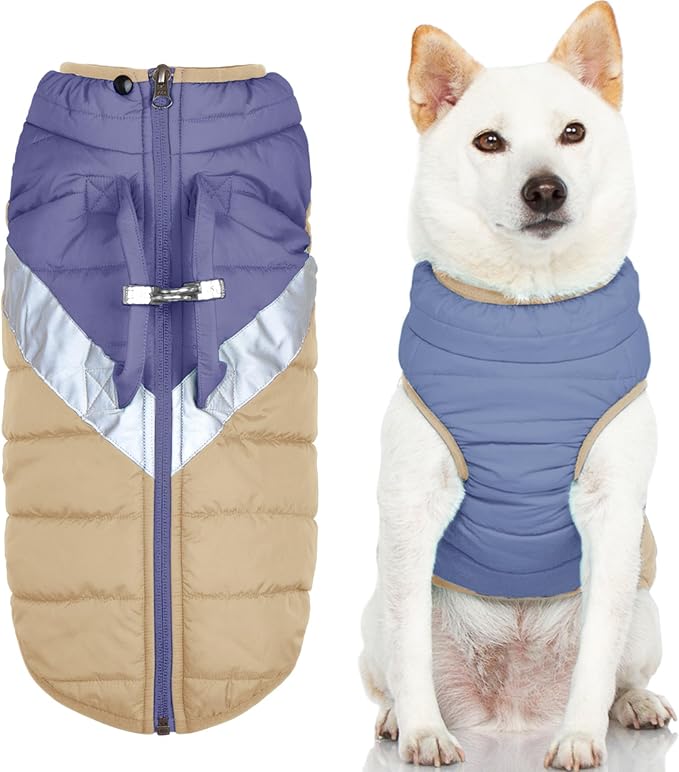 Gooby Mountaineer Dog Jacket - Quantum Blue, Small - Warm Zip Up Coat with Lift Handle and Dual O Ring Leash Water Resistant for Small to Medium Dogs