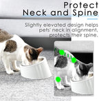 SuperDesign Mess Free 15° Slanted Bowl for Dogs and Cats, Tilted Angle Bulldog Bowl Dog Feeder, Non-Skid & Non-Spill, Easier to Reach Food M/1 Cup White