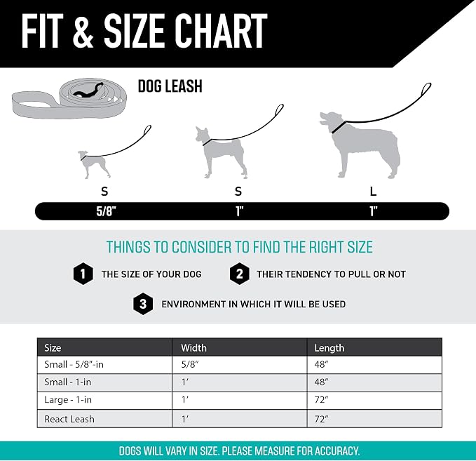 Wolfgang Heavy Duty Dog Leash, Pull-Tested for Walking & Training, LazyDaisy Print, Small
