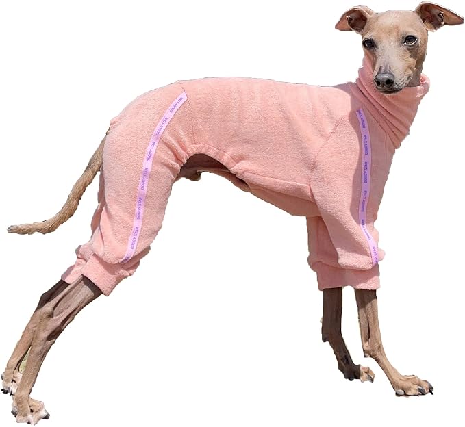 D Doggy Star Italian Greyhound Clothes Stretchy Towel Sports Onesie Outfit Whippet for Dog Coat (M,TWL Apricot)