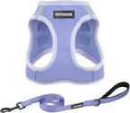 Best Pet Supplies Voyager Step-in Air All Weather Mesh Harness and Reflective Dog 5ft Leash Combo with Neoprene Handle, for Small, Medium and Large Breed Puppies - Lavender, XXS