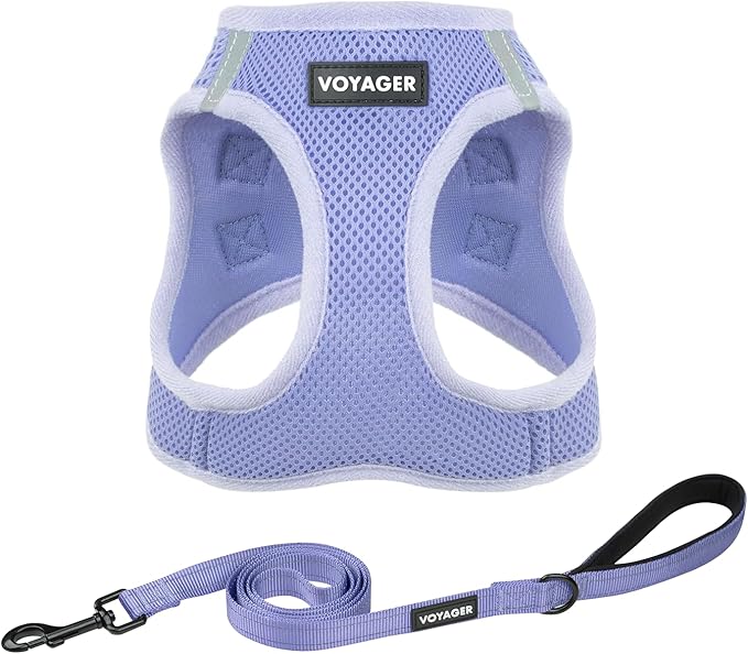 Best Pet Supplies Voyager Step-in Air All Weather Mesh Harness and Reflective Dog 5ft Leash Combo with Neoprene Handle, for Small, Medium and Large Breed Puppies - Lavender, XXXS