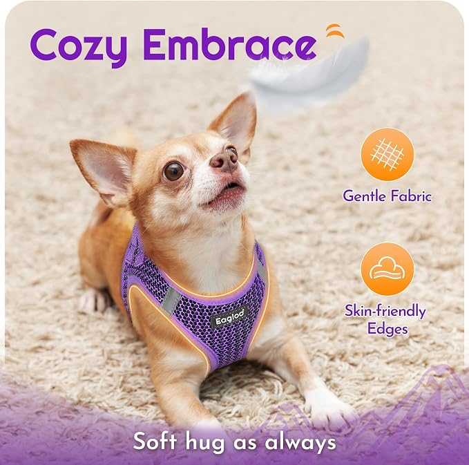 Eagloo Small Dog Harness and Leash Set, Step in Extra Small Puppy Pet Vest | Light, Soft, Breathable Air Mesh, Easy on and off with Hook & Loop, Reflective for Safe Walking, Purple, XXS
