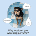 DedCool Pet Fragrance | 01 Taunt | Clean Luxury Pet Perfume for Dogs | Long-Lasting Deodorizing Spray | Non-Toxic, Vegan | 8.5 fl oz