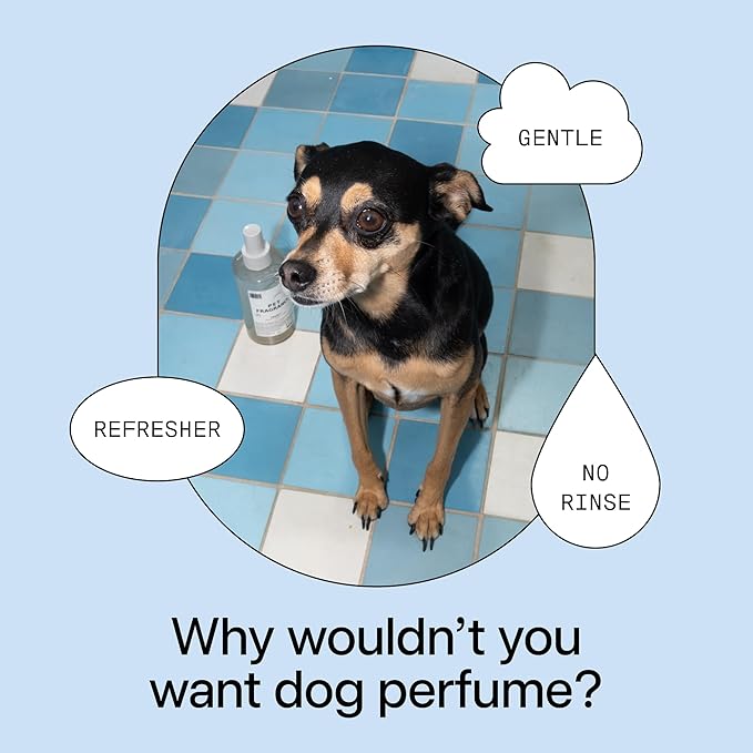 DedCool Pet Fragrance | 01 Taunt | Clean Luxury Pet Perfume for Dogs | Long-Lasting Deodorizing Spray | Non-Toxic, Vegan | 8.5 fl oz