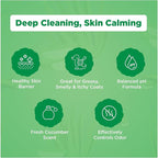 DermaFoam Dog Shampoo 16 oz | Pet Supplies for Odor Control & Greasy Coats – Sulfate Free Moisturizing Formula Pet Shampoo, Fresh Cucumber Scent 500ml