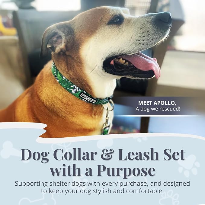 Lucky Love Dog Collar and Leash Set, Beautiful & Vivid Patterns, Easy On & Off Clasp Accessory (Blue Laguna, XS Combo)