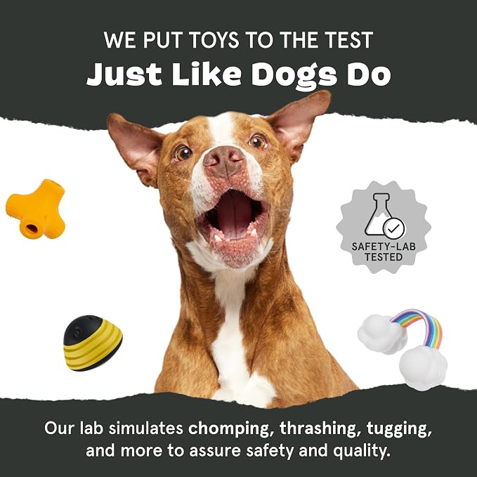 BarkBox Crocness Monster Dog Toy - for Medium Dogs | Beef-Scented, Perfect for Tough Chewers to Grab, Grip, and Chew for Endless Fun