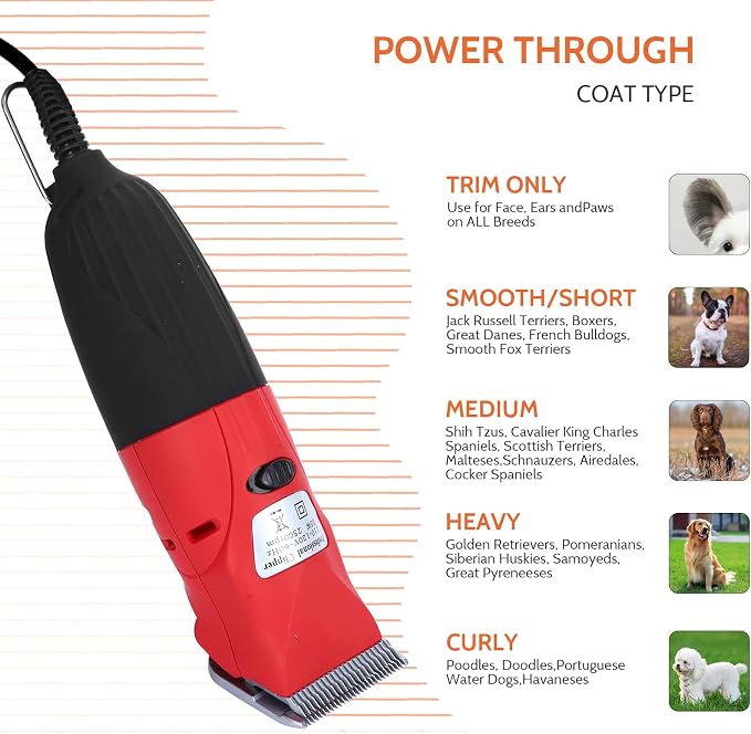 DUCKBOY 35W Pet Clipper Grooming Kit, 4 Interchangeable Blades, 3m Cable | Ideal for all dogs & cats. Home grooming with 4 stainless steel blades, 35W motor, 3m cable. Quiet, safe trimming
