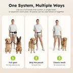 Pecute Hands Free Dog Leash for 2 Dogs, Waist Belt with Pouch, No Tangle | Shock absorbing bungee, dual padded handles, detachable waterproof fanny pack, heavy duty for large dogs, running & walking