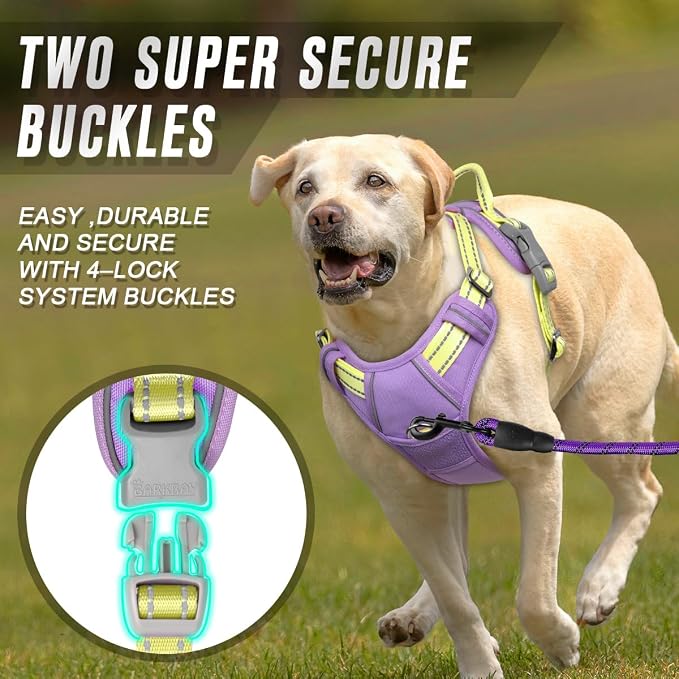 BARKBAY No Pull Dog Harness Front Clip Heavy Duty Reflective Easy Control Handle for Large Dog Walking(Violet Purple & Sunlight,M)