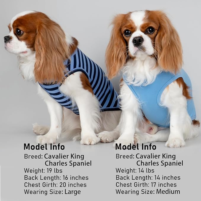 KYEESE 2Pack Dog Shirt, Soft Striped Dogs T Shirts, Lightweight Doggie Tank Top Cat Clothes, Sleeveless Dog Shirt for Small Dogs, Stretchy Pet Vest, Dark Blue, Small