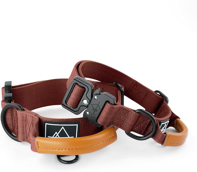 MADE TO ROAM Control Dog Collar | Leather Handle & Heavy Duty Metal Buckle | Premium adjustable collar with vegan leather handle. Fits medium to large dogs. 15 colors. Matching leash & harness