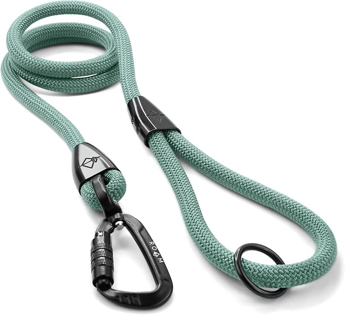 MADE TO ROAM Premium Explorer Leash - Climbing Rope Leash with Autolocking Aviation Aluminum Carabiner - Florida Seaside, 4ft