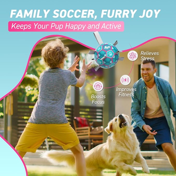 QDAN Dog Toys Soccer Ball with Straps, Pool Dog Water Toy, Outside Ball | 6 Inch Herding Ball for Small Dogs, Puppy Toy, Outdoor Toys Balls for Dogs to Keep Them Busy, Dog Birthday Gift, Lake Blue