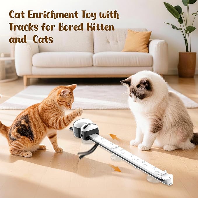 AsFrost 2-in-1 Interactive Cat Chase Bounce Toy for Indoor Cats | Automatic Flying Bird & Mouse Wand, USB Rechargeable, Suction Hanging Design,Self Play for Bored Kittens Adult Cats Exercise