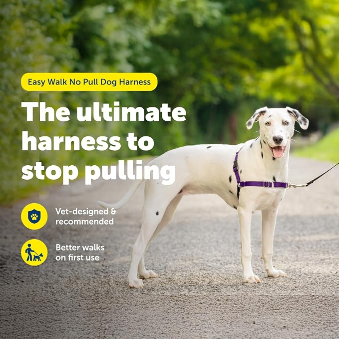 PetSafe Easy Walk Harness for Dogs - Pull-Free Walks - Patented Martingale Loop Design - Front Chest Leash Attachment - Comfort Straps - Breathable Harness Design - Medium/Large, Black/Silver