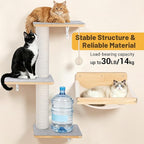Wall Mounted Cat Shelves Set with Hammock | Sisal Scratching Posts, 3 Wooden Steps, Space-Saving Cat Tree, For Indoor Cats Up to 30 lbs