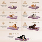 EHEYCIGA Orthopedic Dog Bed Medium with Removable Washable Cover,30x20 | Egg Crate Foam Support,Durable Oxford fabric,Non-Slip Bottom,Machine Washable,Soft Waterproof Plush Pet Bed Mat For Crate