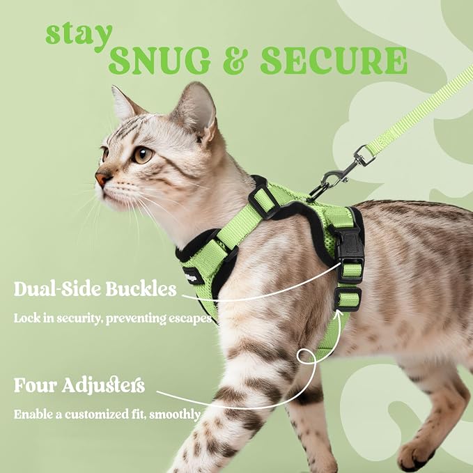 rabbitgoo Cat Harness and Leash Set, Escape Proof Vest, Light Green | Soft Breathable Mesh, Easy Adjustable Fit, Snap Buckles, Sturdy Clip, Reflective Strips, for Kittens & Small Cats Walks, Xxs