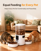 Dual-Camera Automatic Pet Feeder with 2 Bowls, 6L Smart Feeder for 2 Cats | 2K HD Video, App Control, Slow Feed Mode, Up to 20 Meals, 2-Way Audio, Night Vision, iOS/Android, Dry Food Only, White