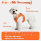 rabbitgoo Dog Harness Small Sized and Leash Set, Step-in Puppy Pet Vest | Light, Soft, Breathable Air Mesh, Easy on and Remove with Hook & Loop, Secure Reflective for Walking, Orange M