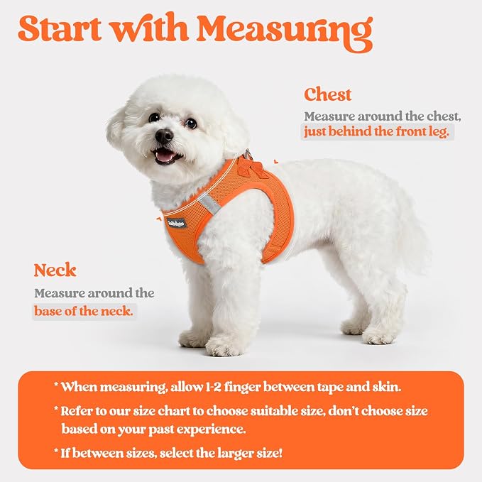rabbitgoo Dog Harness Small Sized and Leash Set, Step-in Puppy Pet Vest | Light, Soft, Breathable Air Mesh, Easy on and Remove with Hook & Loop, Secure Reflective for Walking, Orange M