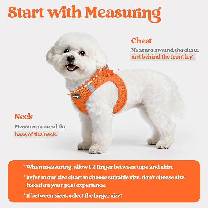 rabbitgoo Dog Harness Medium Sized and Leash Set, Step-in Puppy Pet Vest | Light, Soft, Breathable Air Mesh, Easy on and Remove with Hook & Loop, Secure Reflective for Walking, Orange XXL