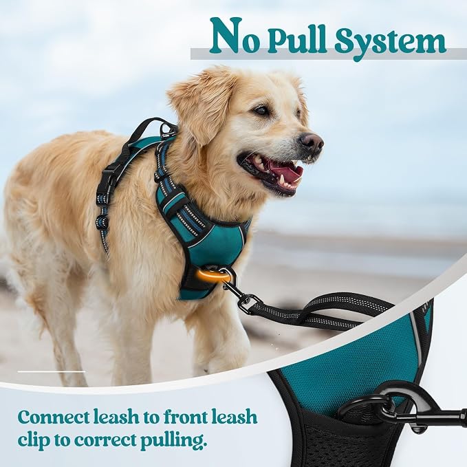 rabbitgoo Dog Harness No Pull with 2 Leash Clips, Adjustable Soft Padded, Reflective Oxford No Choke Pet Vest with Easy Control Handle for Large Dogs, Blue Coral, XL | No Choke with Handle, Adjustable Soft Padded, Reflective, Easy Control for Walking, ...