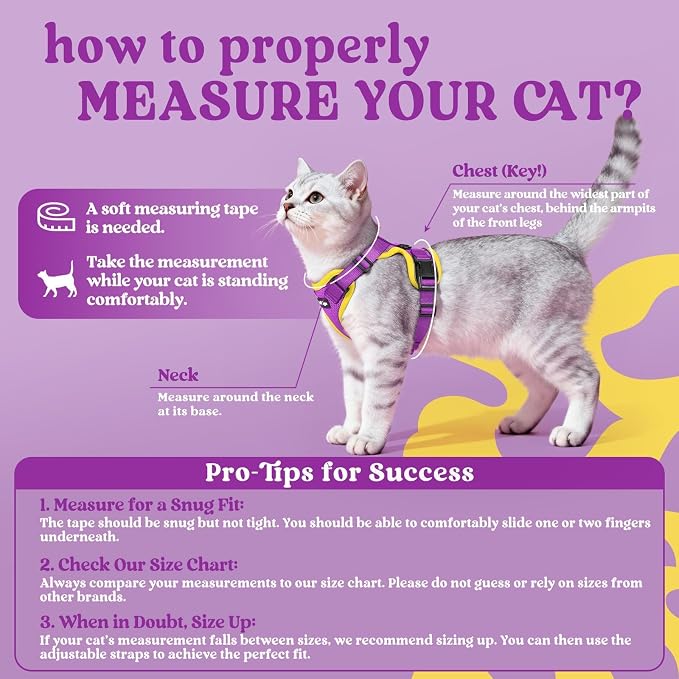 rabbitgoo Cat Harness and Leash Set, Escape Proof Vest, Purple & Yellow | Soft Breathable Mesh, Easy Adjustable Fit, Snap Buckles, Sturdy Clip, Reflective Strips, for Medium to Large Cats Walks, M