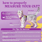 rabbitgoo Cat Harness and Leash Set, Escape Proof Vest, Purple & Yellow | Soft Breathable Mesh, Easy Adjustable Fit, Snap Buckles, Sturdy Clip, Reflective Strips, for Medium to Large Cats Walks, M